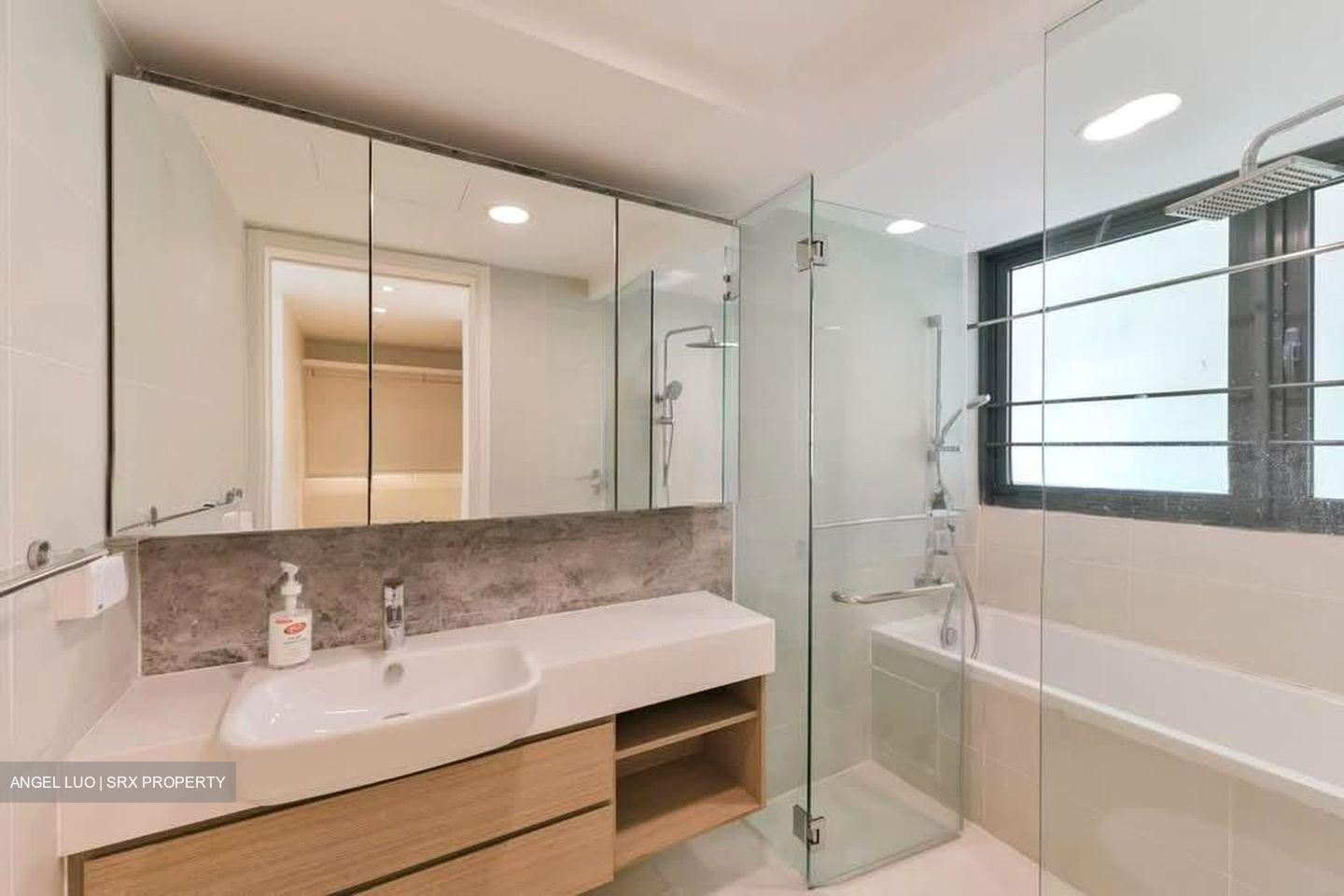 The Lakefront Residences (D22), Condominium #550976161